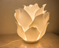 Lotus Glow Lamp
